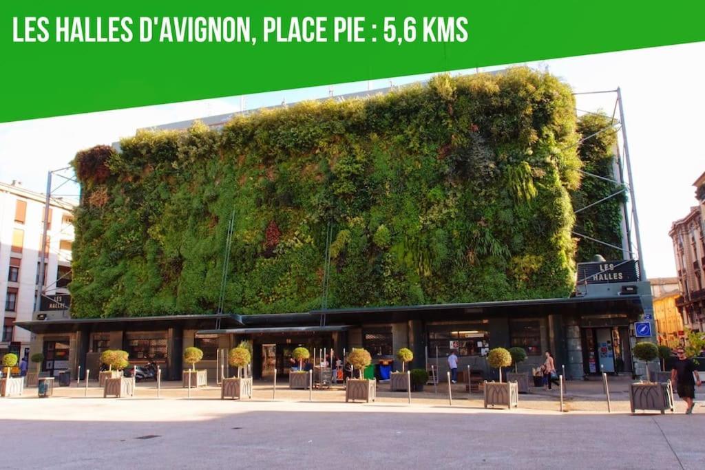 Petit Terme - Piscine - Clim - Parking Lägenhet Les Angles  Exteriör bild